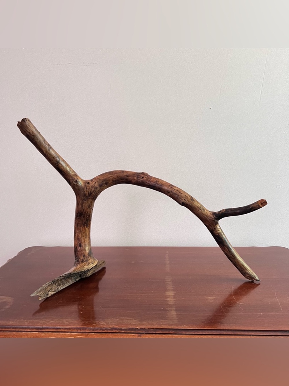 Natural Driftwood – Aquarium / Terrarium Decor (18” x 13”)